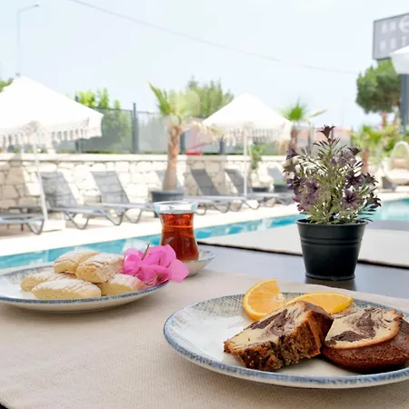 Anchor Hotel